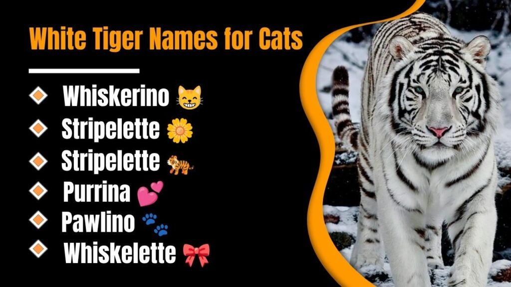 White Tiger Names for Cats