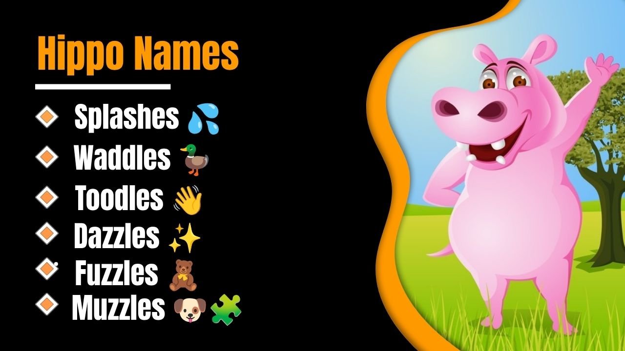 1199+ Hippo Names That Everyone Loves: Funny, Cute, Unique And Surprisingly Creative Ideas 