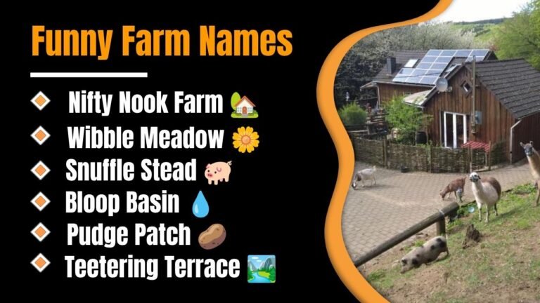 1200+ Funny Farm Names: That Will Make Everyone Laugh With Brilliant Creative and Surprisingly Clever Ideas!