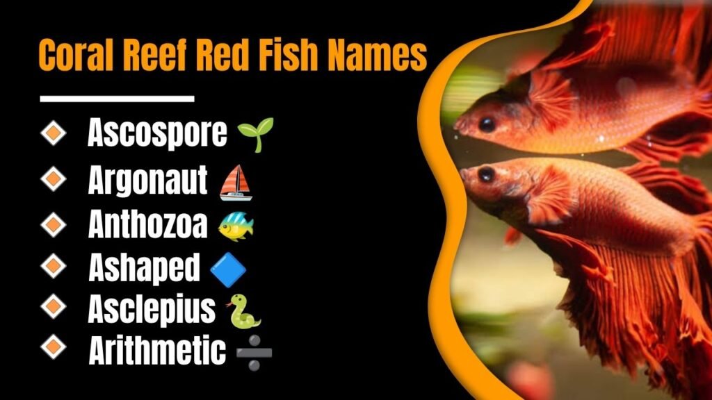 Coral Reef Red Fish Names