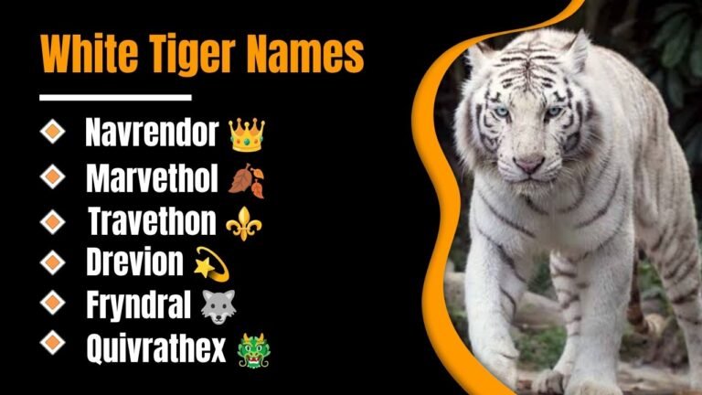 1399+ White Tiger Names: That Look Powerful, Sound Legendary, and Leave Everyone Amazed