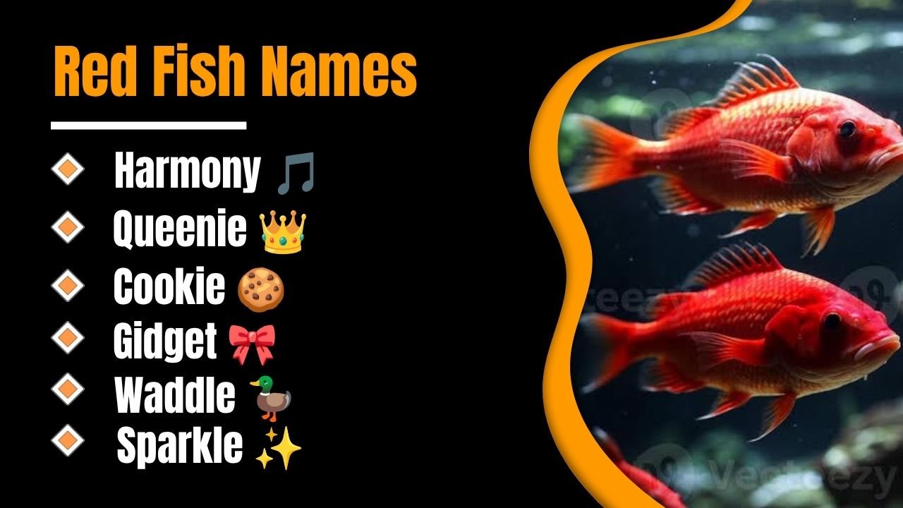 1130+ Red Fish Names: That Will Instantly Make Your Fish Stand Out Forever!