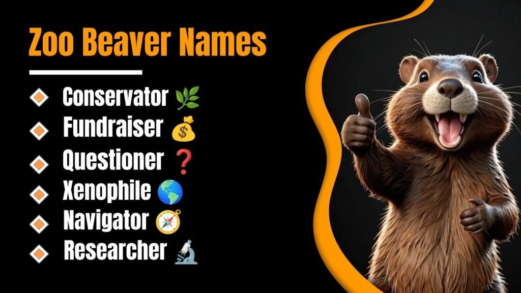 Zoo Beaver Names