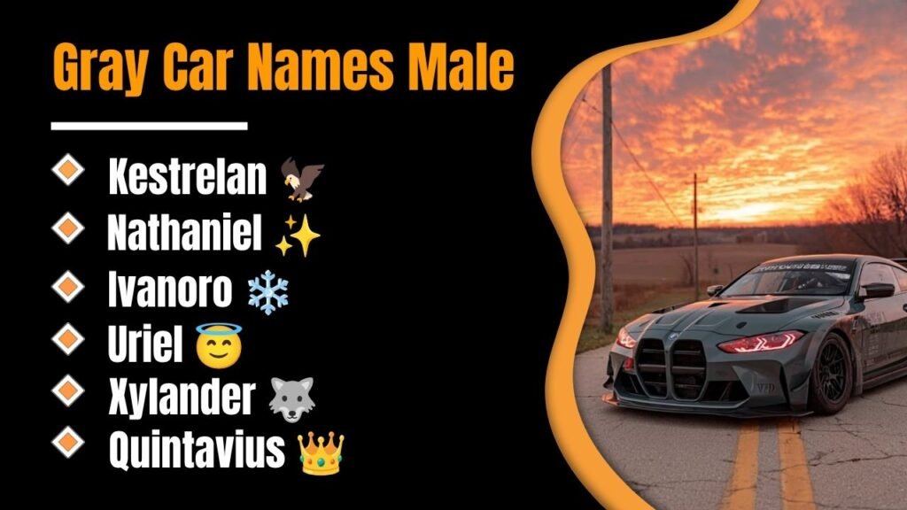 Gray Car Names Male